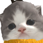 @IiveIoveIamp