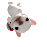 @Heloizinhagamer32