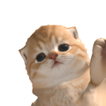 @ffoozz66