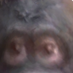 @B3RRYSW33TKIWI