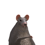 @nsmski11