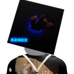 Goose101228