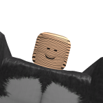 @RobloxNc2019
