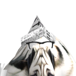 @gaming_master271
