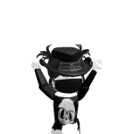 @qwerty_rit