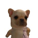 AnaPau