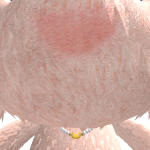 @B3LLAVYS