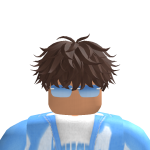 @RobloxaSwapSwap