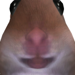 @Seachuu