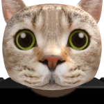 @RandomInternet_Kid