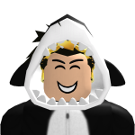 @robloxianhighflags1