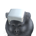@eddiethecat54321
