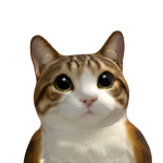 @phiphu123