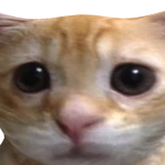 @AOTRNIG