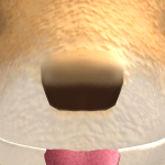 @AR0VV