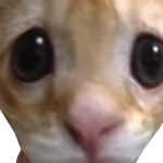 @aroselic