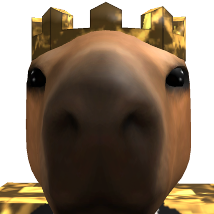 ImCapibaraa