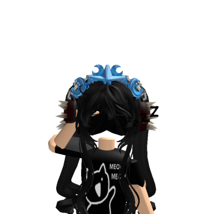 Roblox profile picture for @xlv11r