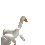 Chico