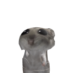 @madissonben