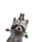 @raccoonie1
