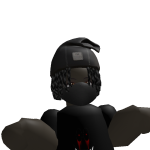 @TheBedwarsGamerr