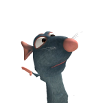 @lldolphin999