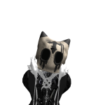 @cliff137
