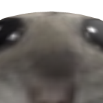 @Bullman11477