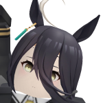 @shiro_Nyn