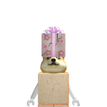 @psmsky05132