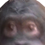 @r0bl0x_ez