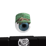 TopSurgery