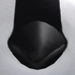 BraveHorizon365's avatar