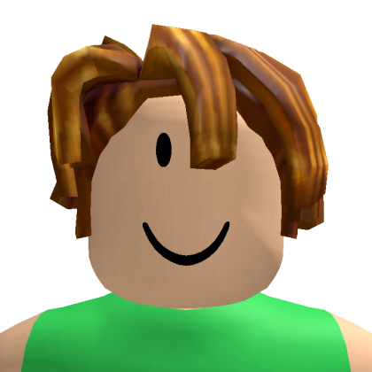Roblox profile picture for @lhda027