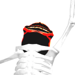 @TheLoserCreator