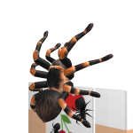 @rocketjustdied