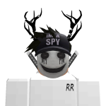 @demonwolfgamer1100