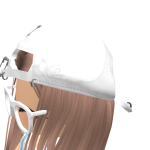 najima_12