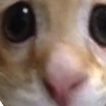 @KATESWOR1D