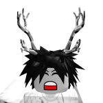 @roblox_user_1740130015