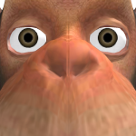 @Samuel528374