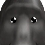 @7erf1