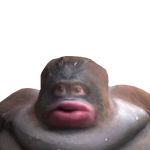 @Capybaras_4l1fe