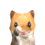 @shvzal