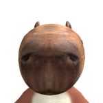 @d6nily