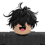 @fefe_roblox56
