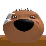 @Bloxshot22