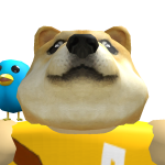 @MrDoge12230