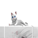 @Junclt